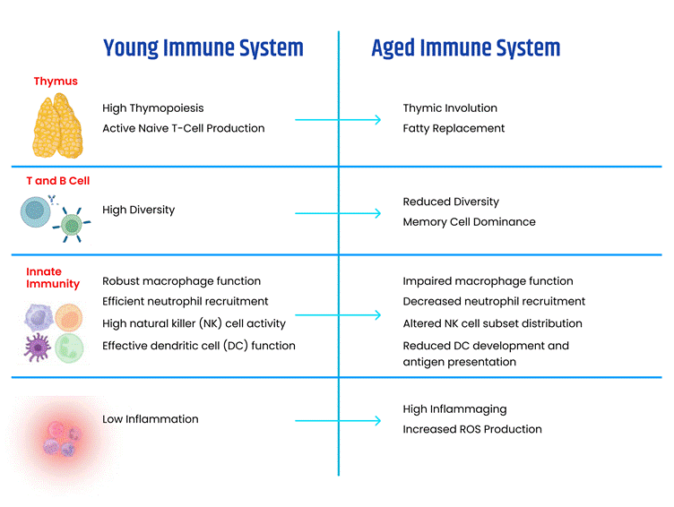 Immunity