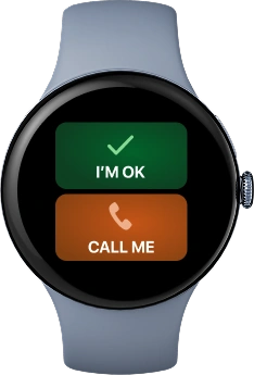 Google Watch integration